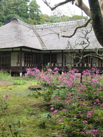 秋のお出かけ･･････鎌倉１_b0331802_21542171.jpg