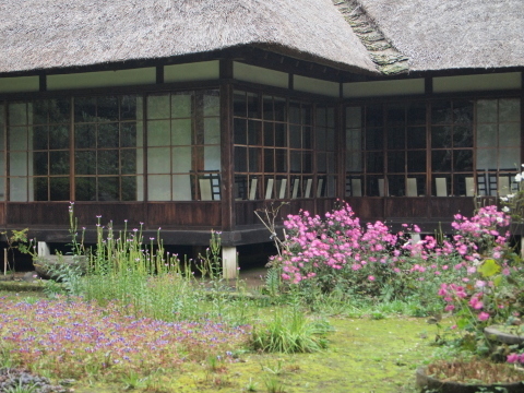 秋のお出かけ･･････鎌倉１_b0331802_21542479.jpg