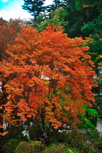 a0263109_14550389.jpg