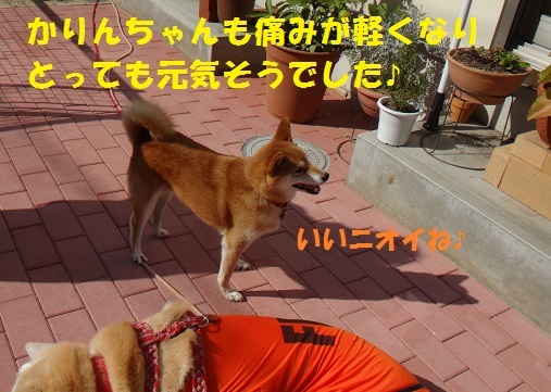 f0121712_09301227.jpg