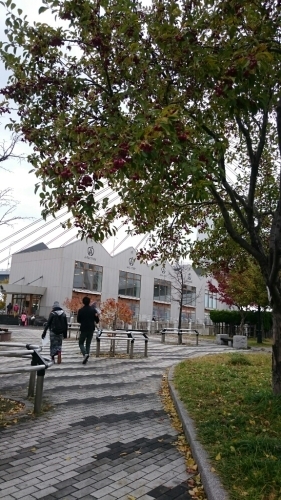 c0101913_23270095.jpg