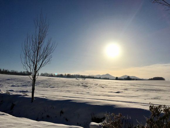 すっかり雪景色_f0096216_08442999.jpg