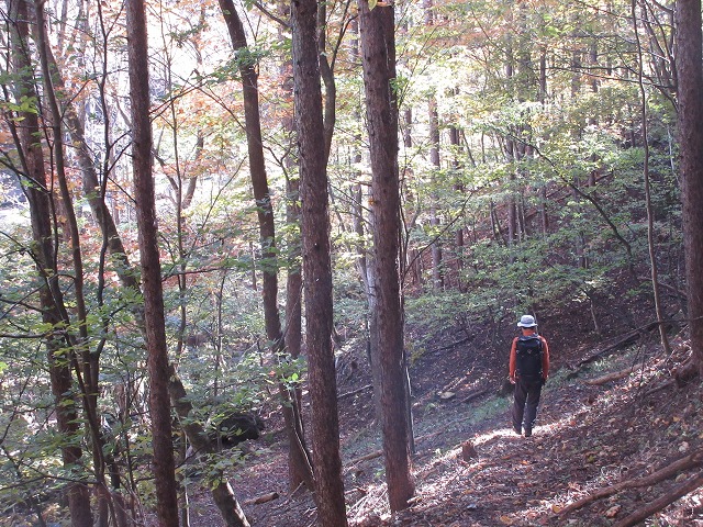 上野村　紅葉のマムシ岳再訪　　　　　Mount Mamushi in Ueno, Gunma_f0308721_23154084.jpg