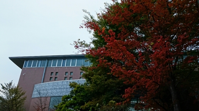 b0251624_23502940.jpg