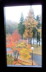 　　小雨に煙る　紅葉を_e0234924_20511894.jpg