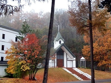 　　小雨に煙る　紅葉を_e0234924_21002493.jpg