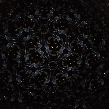 e0305824_933138.jpg