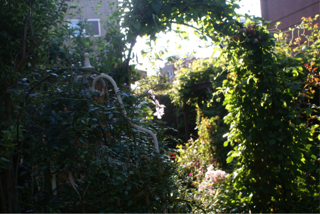 f0170524_16215906.jpg