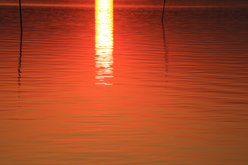 b0181125_10464394.jpg