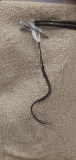 c0109726_1692148.jpg