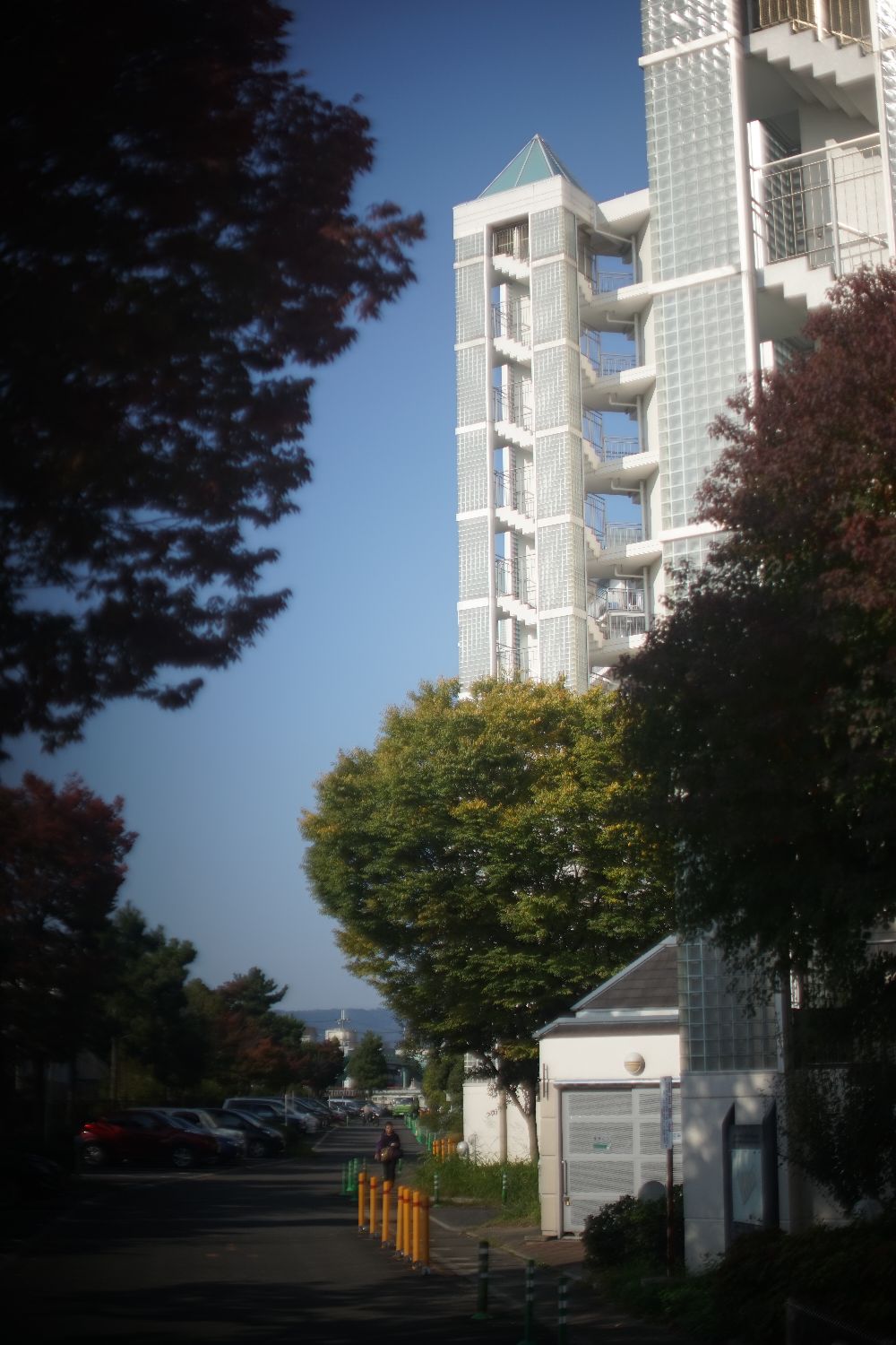 b0069128_16562480.jpg