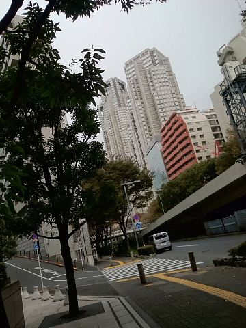 a0222229_1353822.jpg