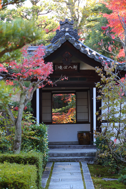 紅葉の建仁寺 －西来院－_b0169330_22313894.jpg