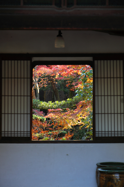 紅葉の建仁寺 －西来院－_b0169330_22315963.jpg