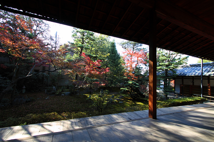 紅葉の建仁寺 －西来院－_b0169330_22324276.jpg