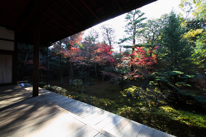 紅葉の建仁寺 －西来院－_b0169330_237554.jpg