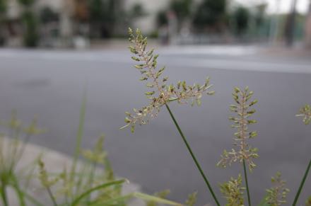 f0132230_140046.jpg