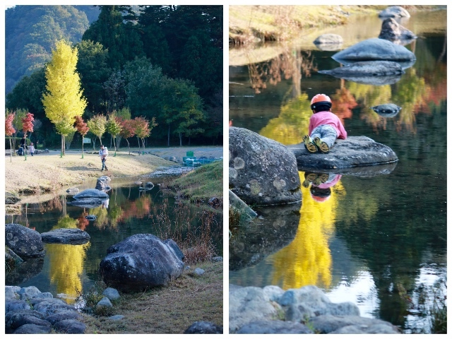 【宮ヶ瀬湖畔園地】_f0348831_22403506.jpg