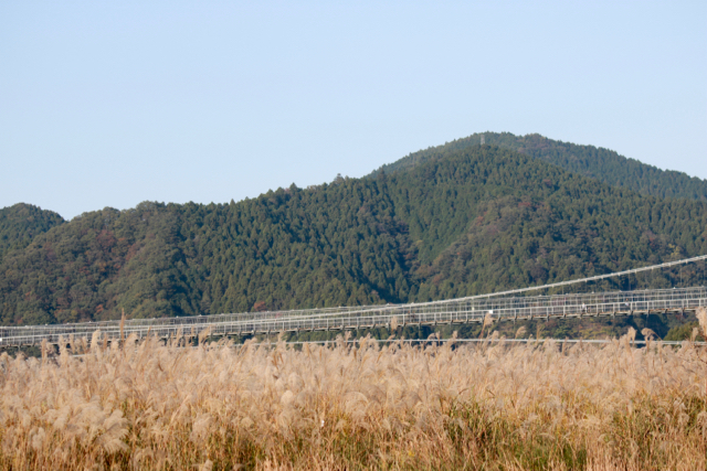 【宮ヶ瀬湖畔園地】_f0348831_22410762.jpg