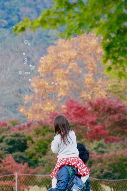 【宮ヶ瀬湖畔園地】_f0348831_22444630.jpg