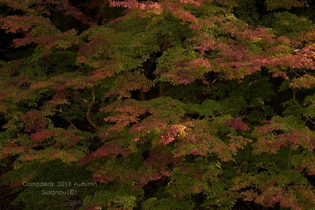 a0212036_18532316.jpg