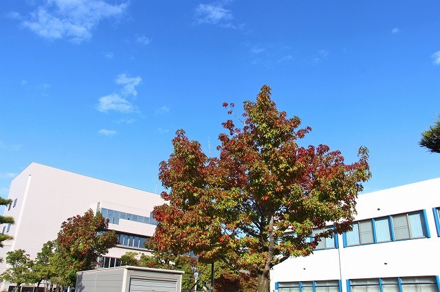 a0242438_21312911.jpg