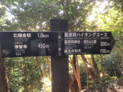 c0097838_10305915.jpg
