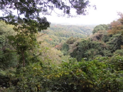 c0097838_13445374.jpg