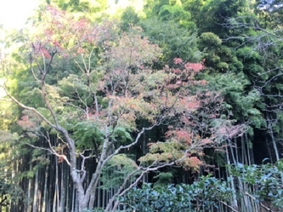 c0097838_15164365.jpg