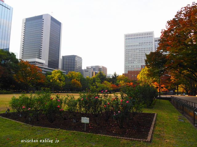 日比谷公園の紅葉＠東京_f0295238_16561595.jpg