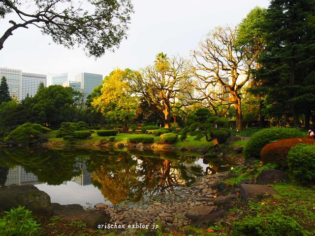 日比谷公園の紅葉＠東京_f0295238_17010175.jpg