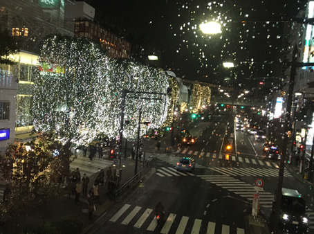 b0278339_20534378.jpg