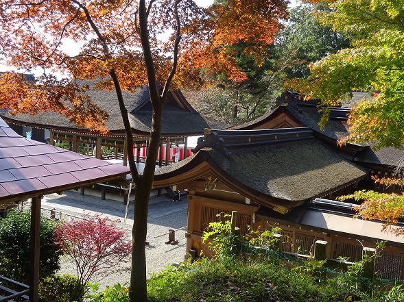 b0299042_162513.jpg