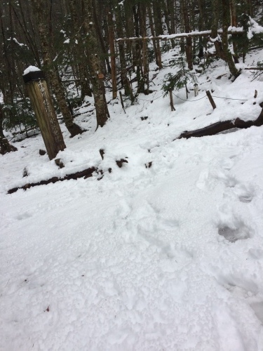 積雪_c0369344_15561738.jpg