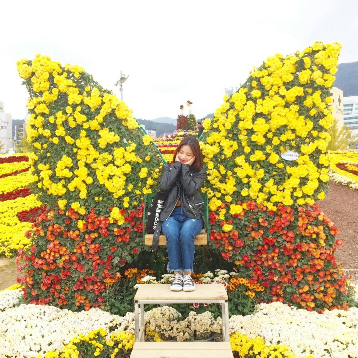d0160145_15273246.jpg