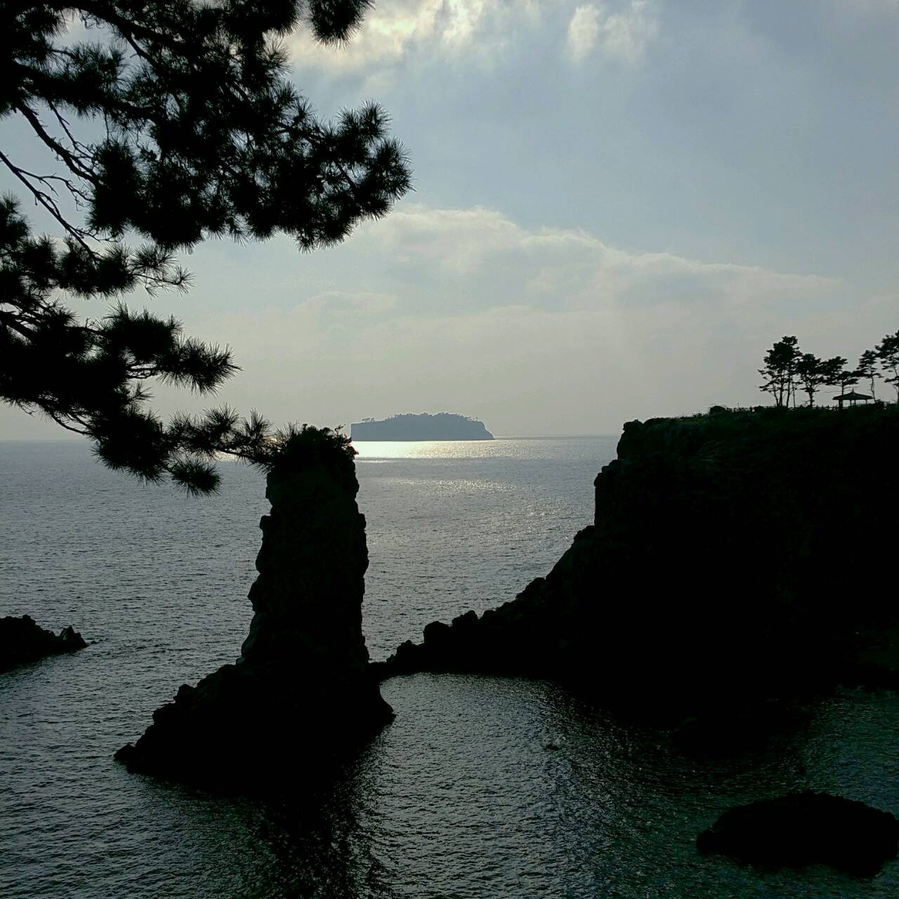 d0160145_16202397.jpg