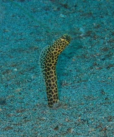 d0168345_08142633.jpg