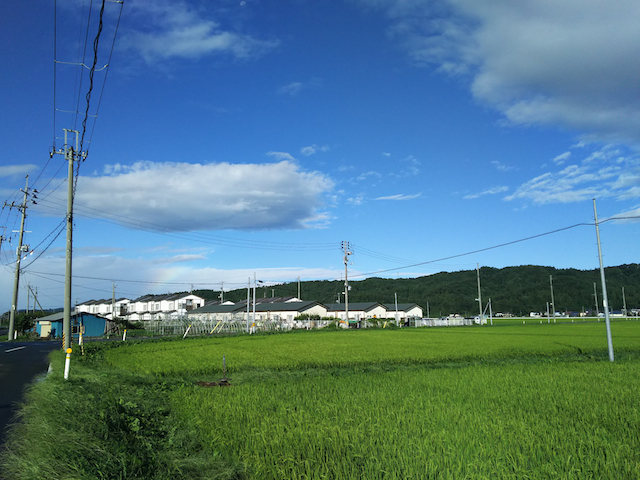 f0321847_17460008.jpg