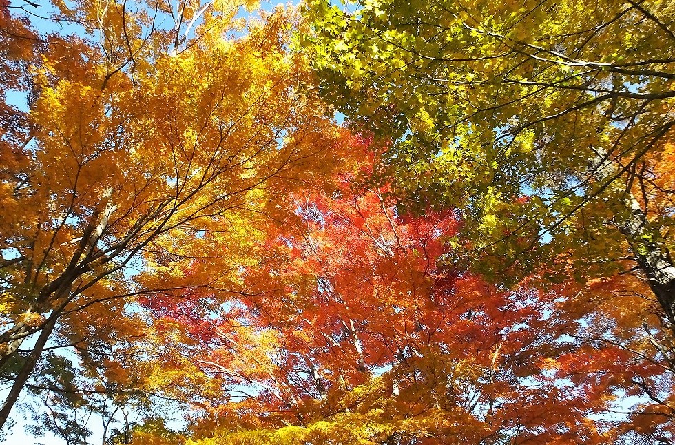 b0236251_11145186.jpg