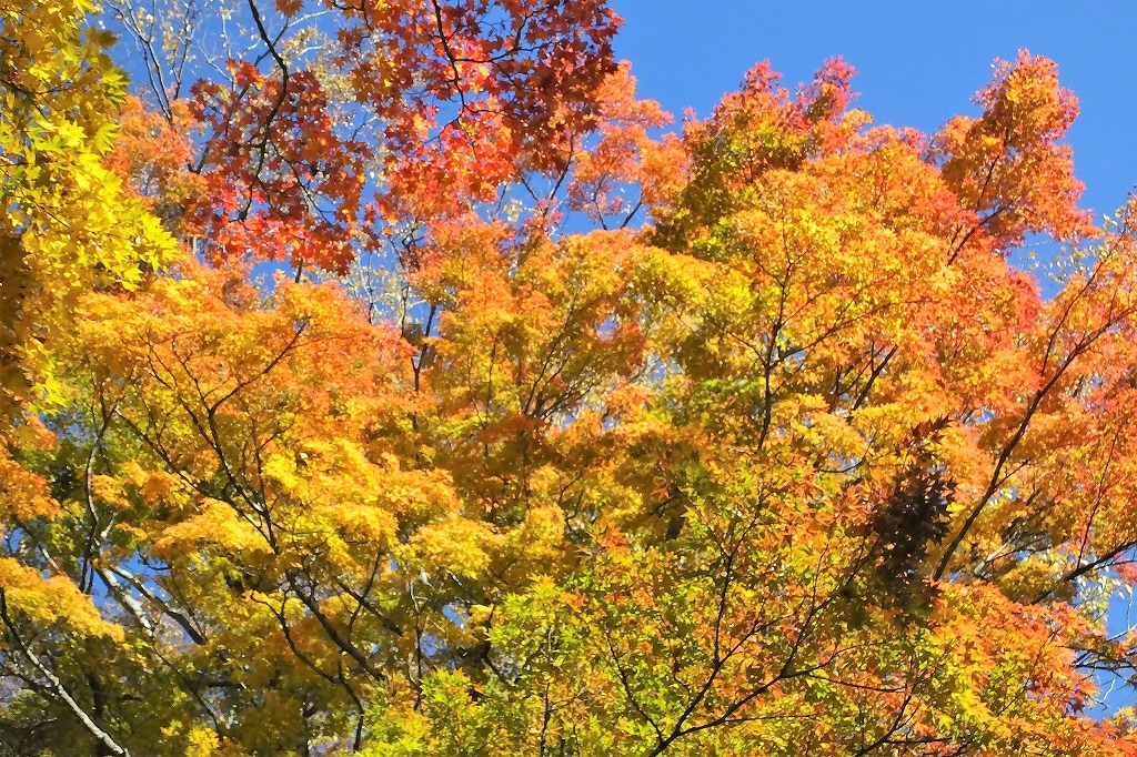 b0236251_112019.jpg