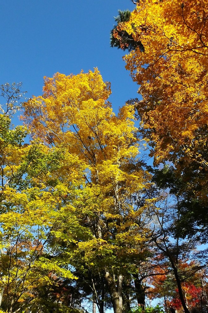 b0236251_11234287.jpg
