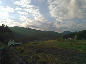 d0252957_21371156.jpg