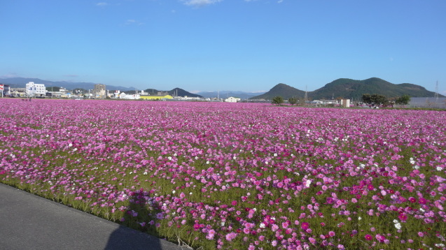 d0171959_18225042.jpg