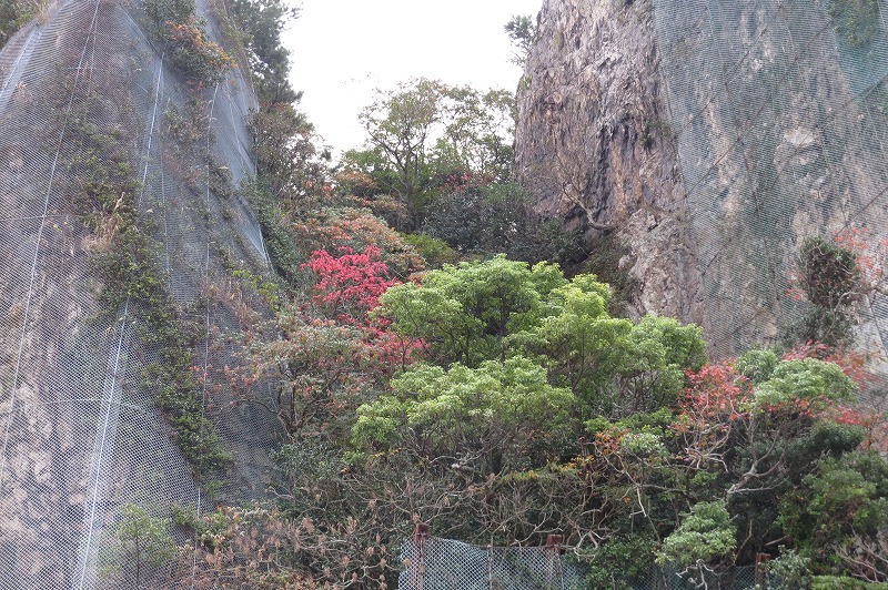 b0104861_1853410.jpg