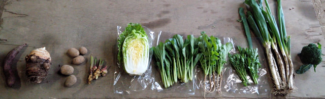 11/12(土)着の野菜セット(写真はレギュラーサイズ)_c0177665_15262262.jpg