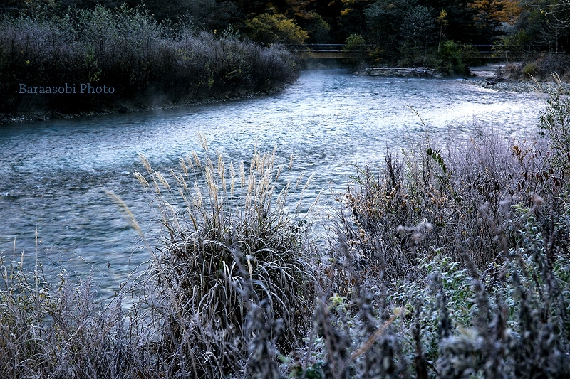 a0135366_14387.jpg