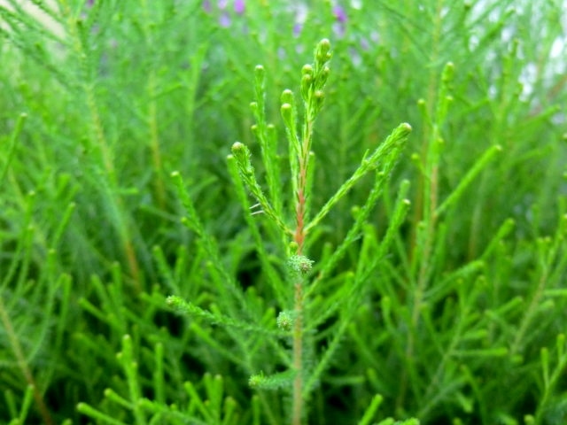 a0134568_16423778.jpg