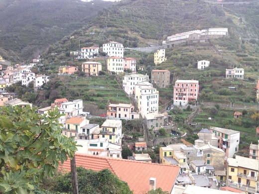a0136671_1444154.jpg