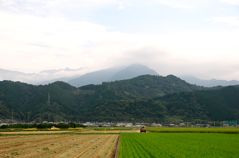 四国　今治のタオル美術館　20161011_a0050572_16371765.jpg