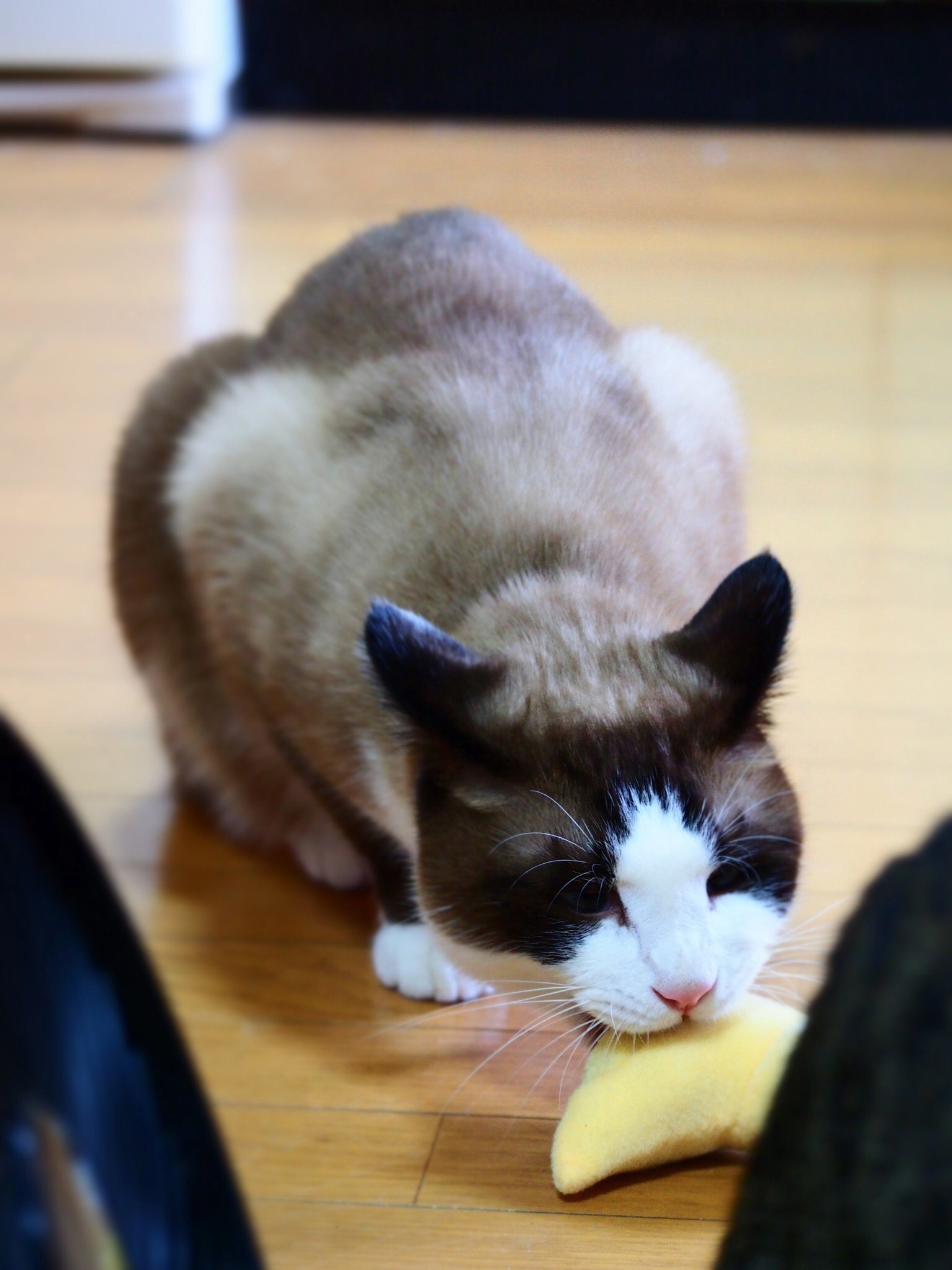 エントリーNo71~_d0124072_00063857.jpg